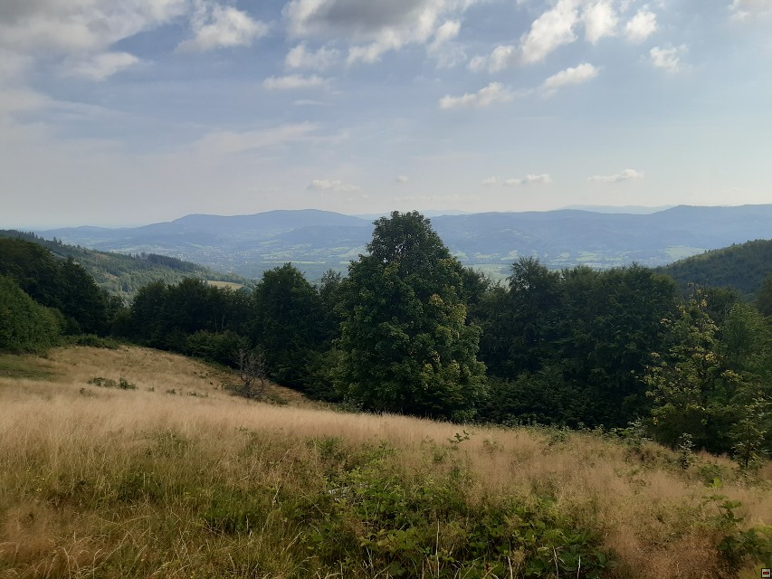 img00008.jpg