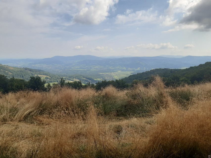 img00017.jpg