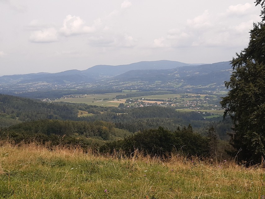 img00038.jpg