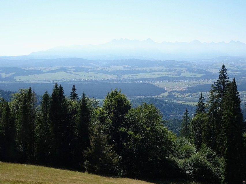 img00007.jpg