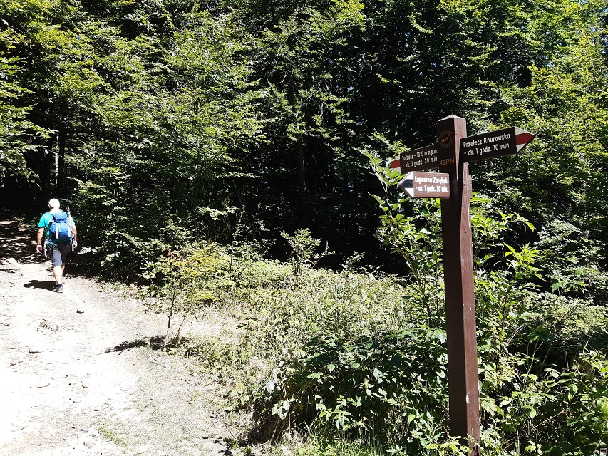 img00009.jpg