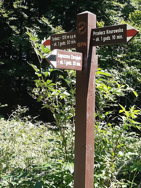 img00010.jpg