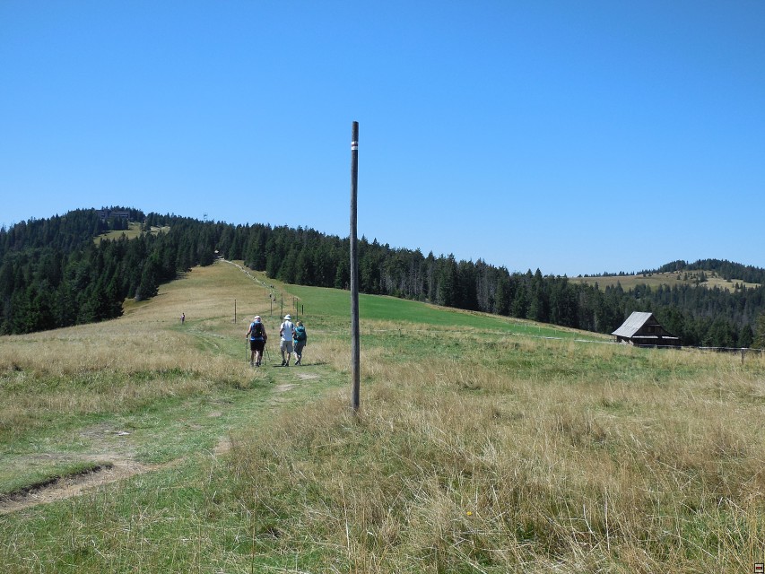 img00022.jpg