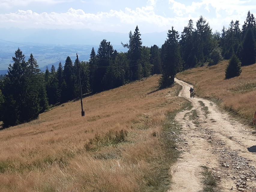 img00036.jpg