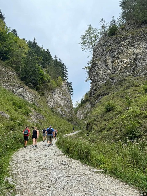 img00007.jpg