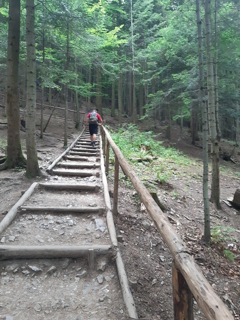 img00012.jpg