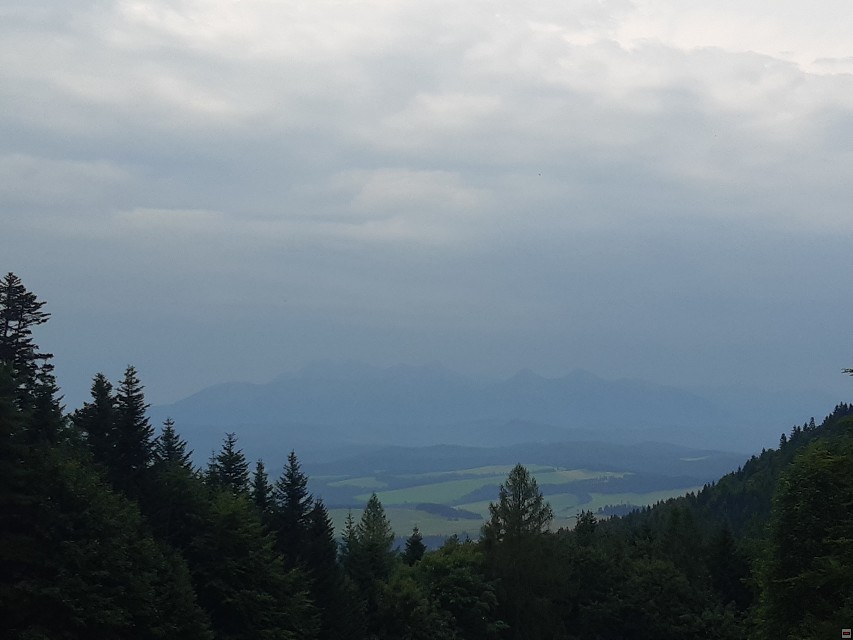 img00018.jpg