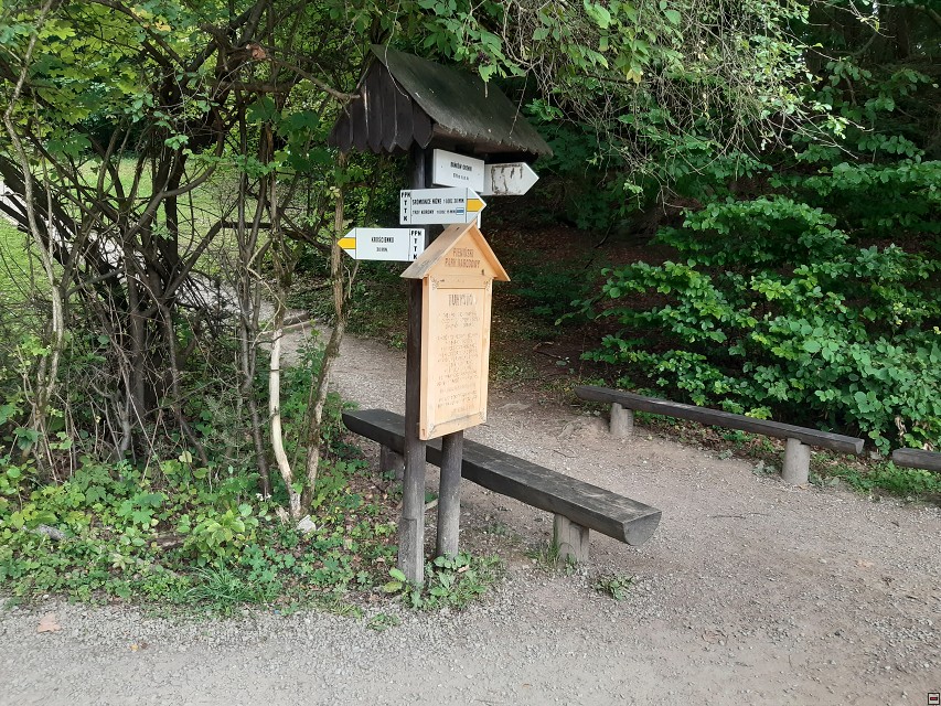 img00020.jpg