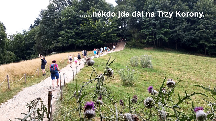 img00021.jpg