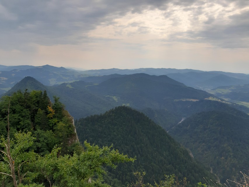 img00028.jpg