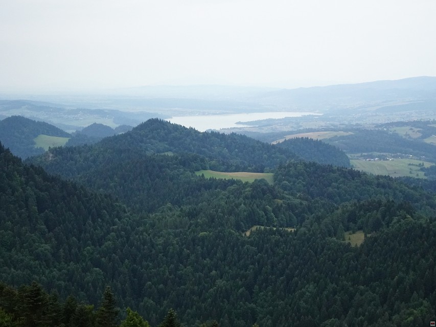 img00033.jpg
