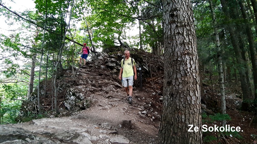 img00041.jpg