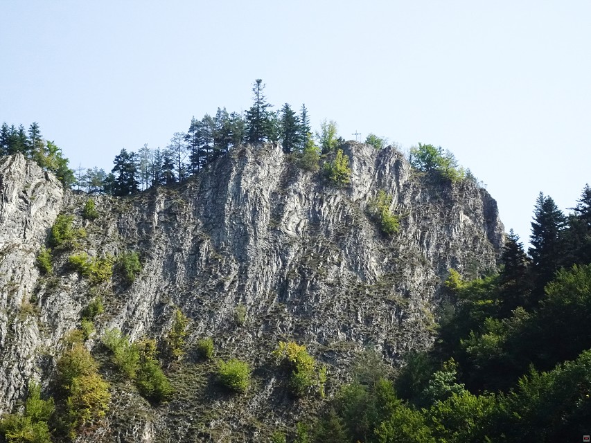 img00024.jpg