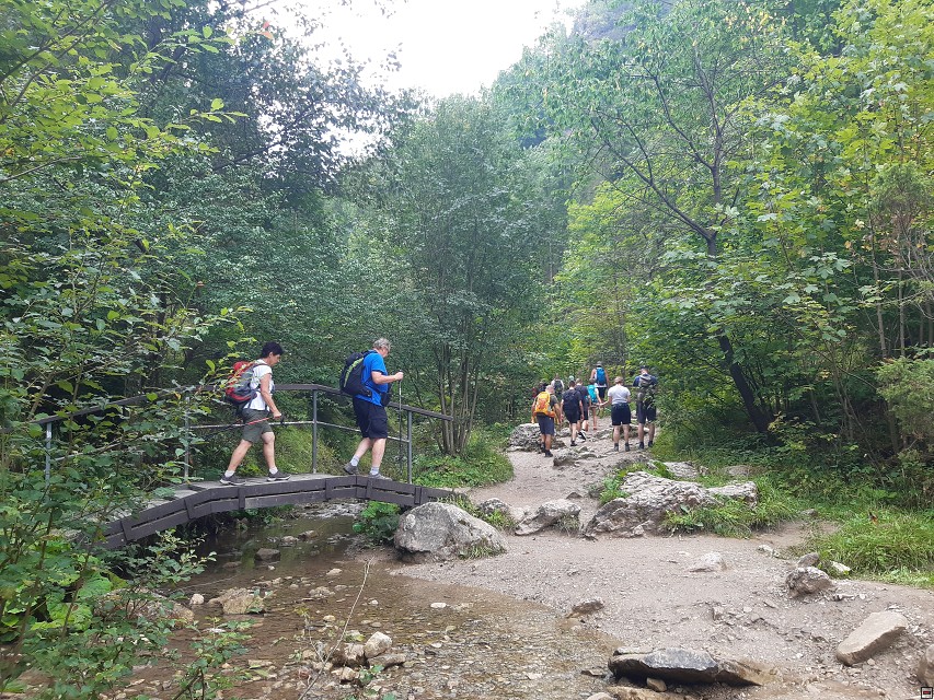 img00007.jpg