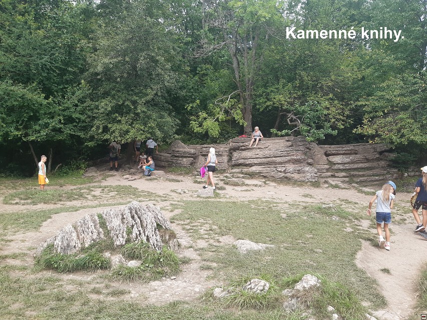 img00009.jpg