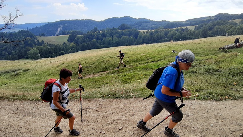 img00013.jpg