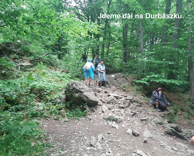 img00019.jpg