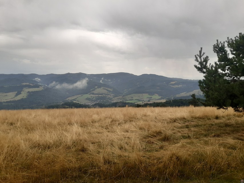 img00021.jpg