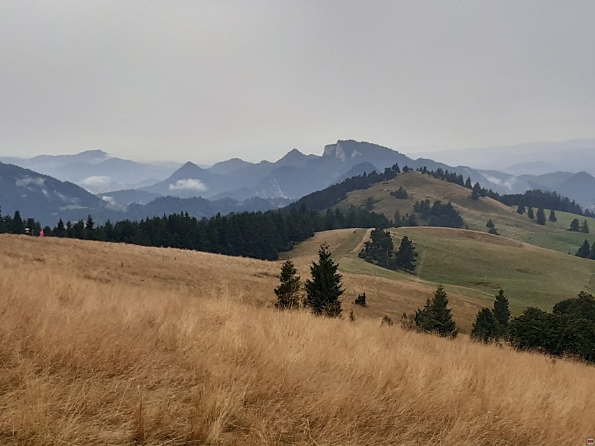 img00025.jpg