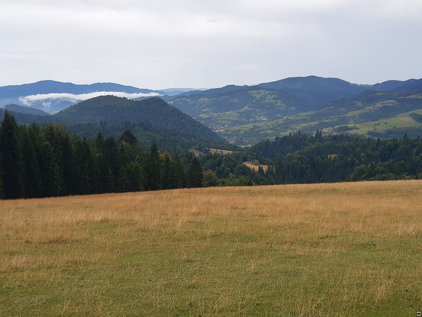 img00029.jpg