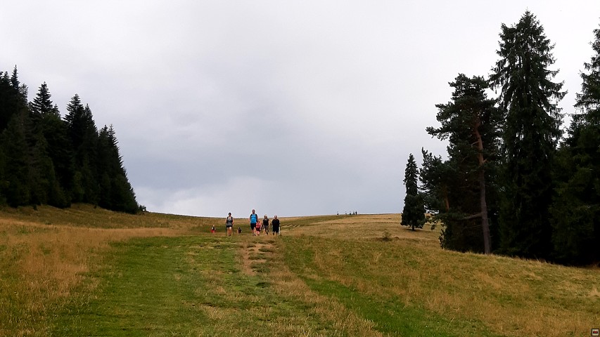 img00031.jpg