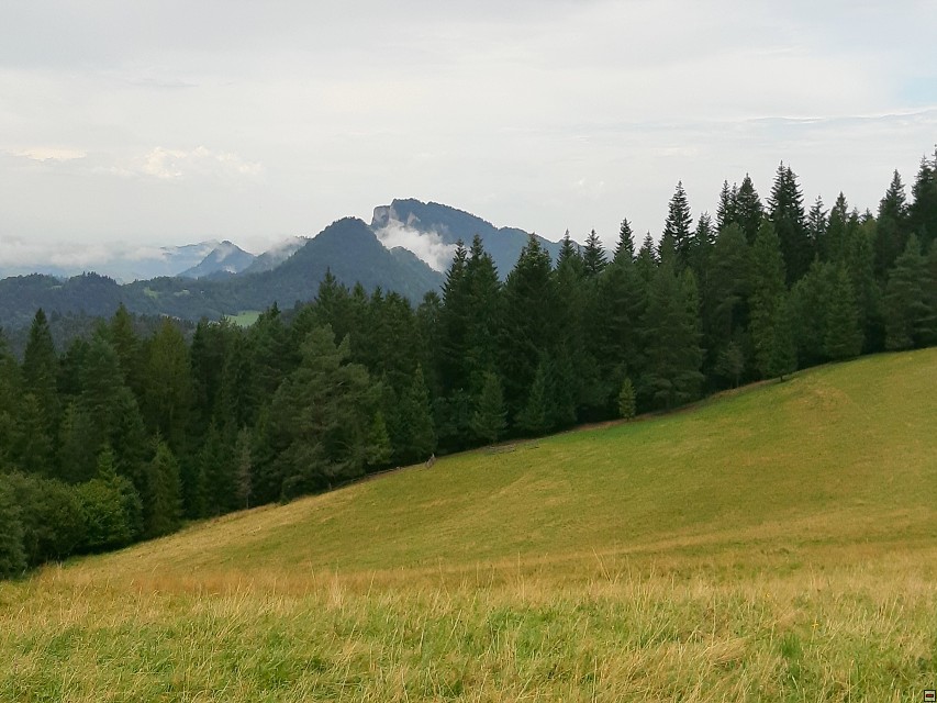img00041.jpg
