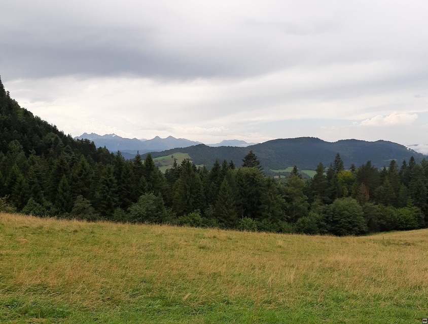 img00042.jpg