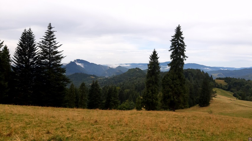 img00043.jpg