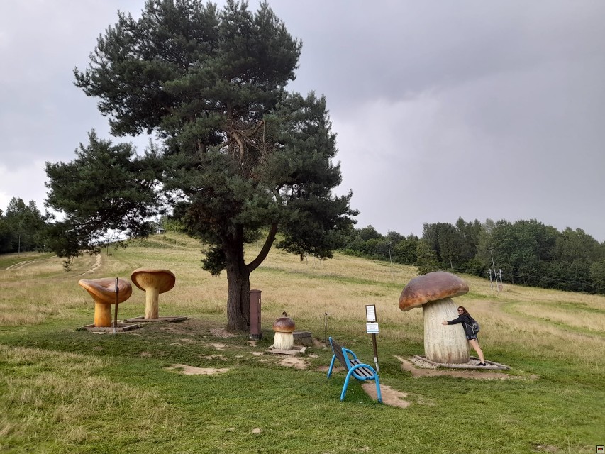 img00056.jpg