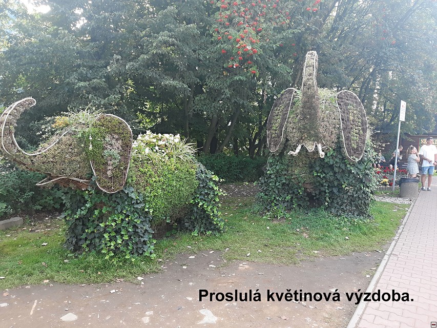 img00063.jpg
