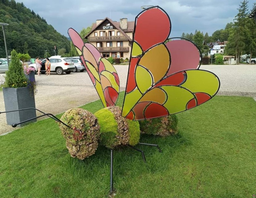 img00064.jpg