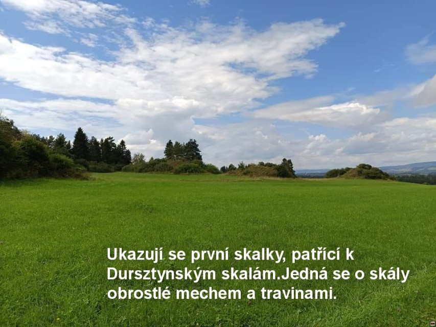 img00012.jpg