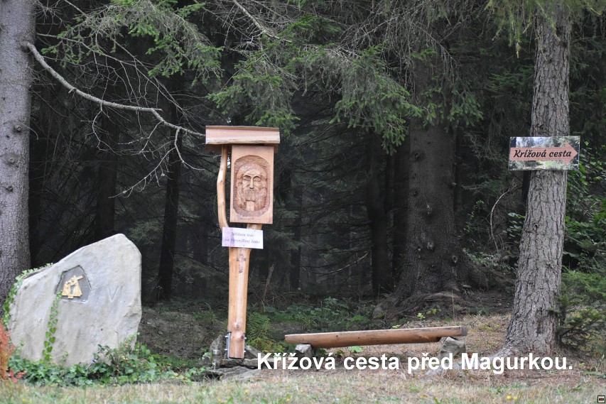 img00007.jpg