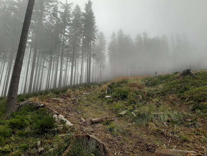 img00037.jpg