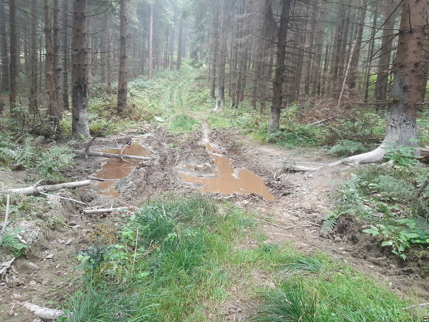 img00040.jpg