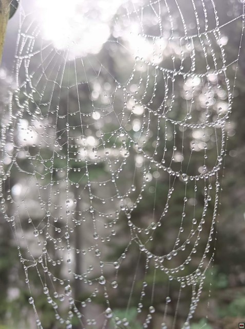 img00041.jpg