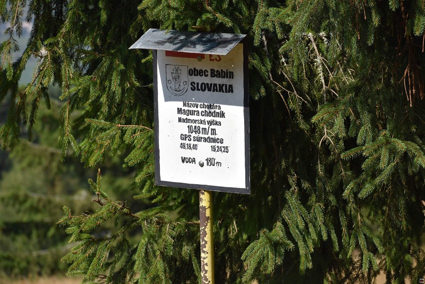 img00055.jpg