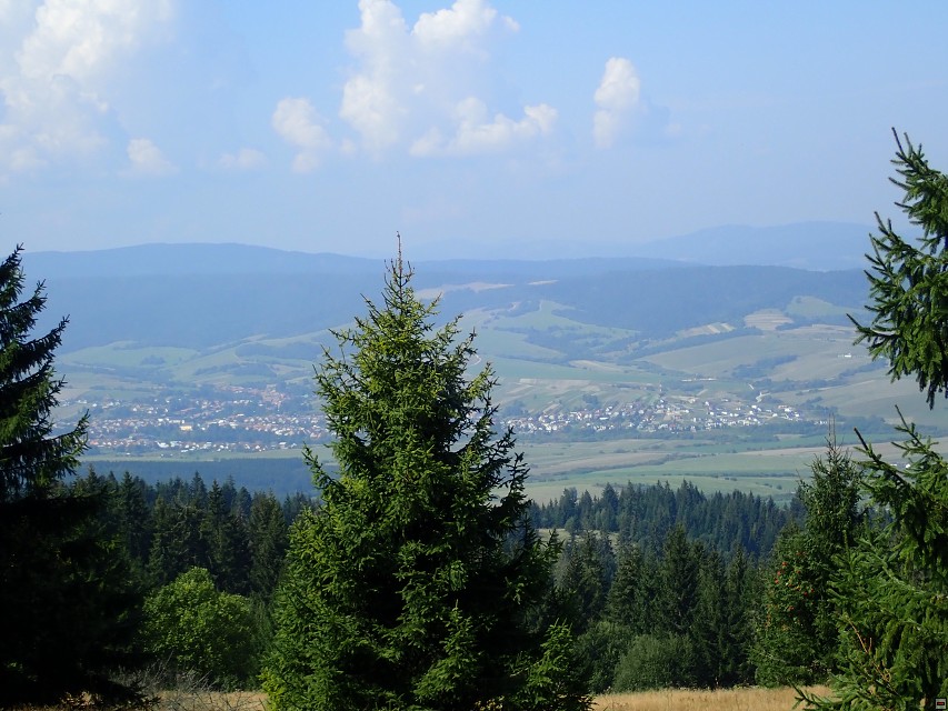 img00056.jpg