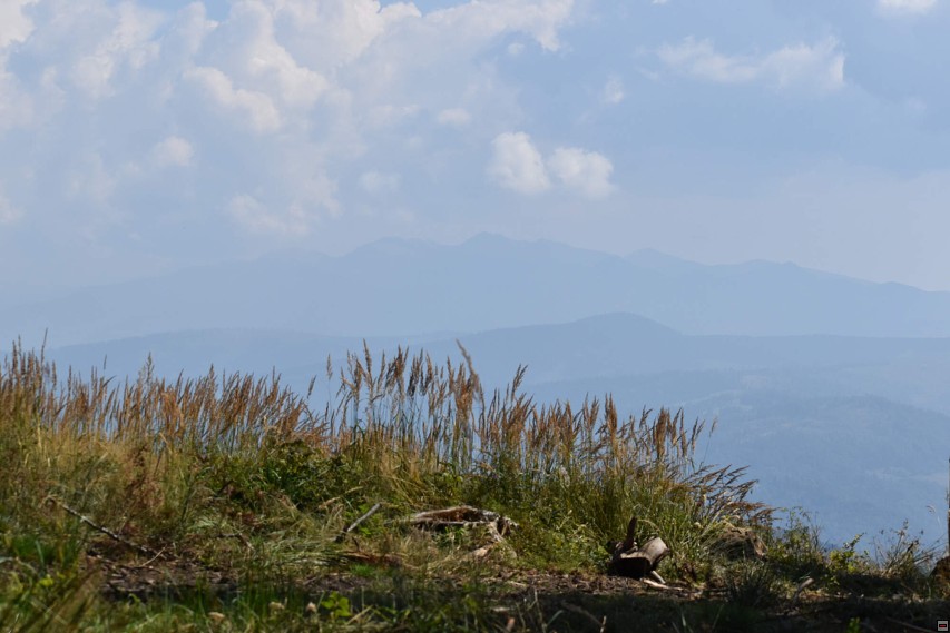 img00062.jpg