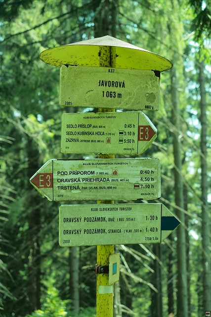 img00066.jpg