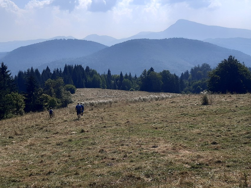 img00070.jpg