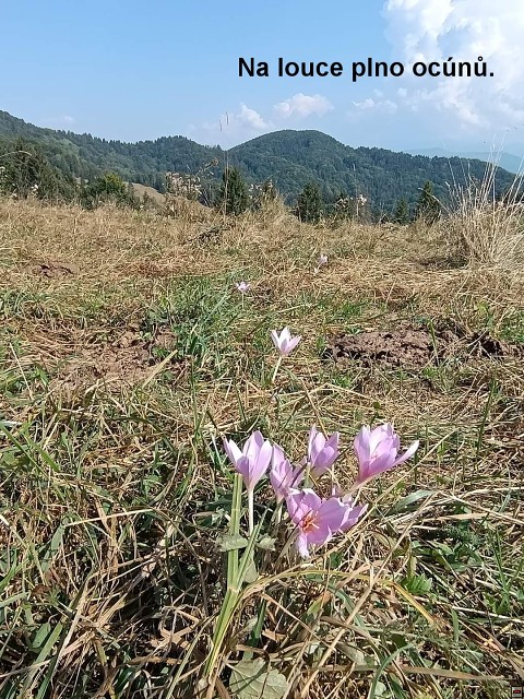 img00072.jpg