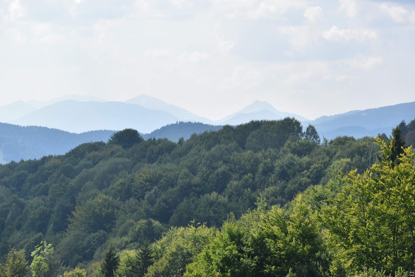 img00077.jpg