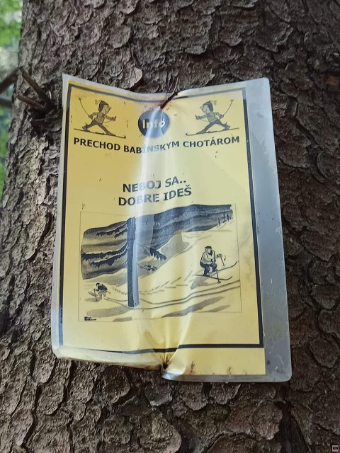 img00080.jpg