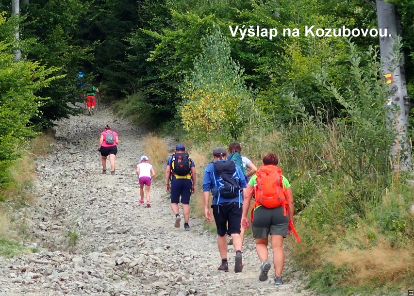 img00027.jpg
