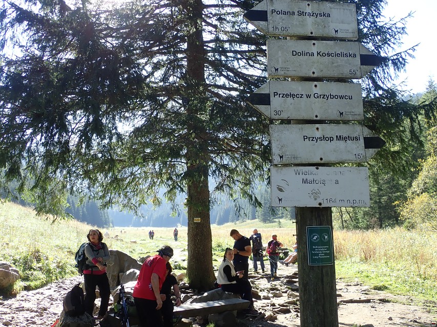 img00008.jpg