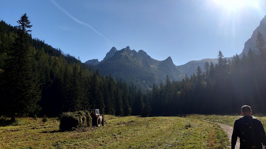 img00010.jpg