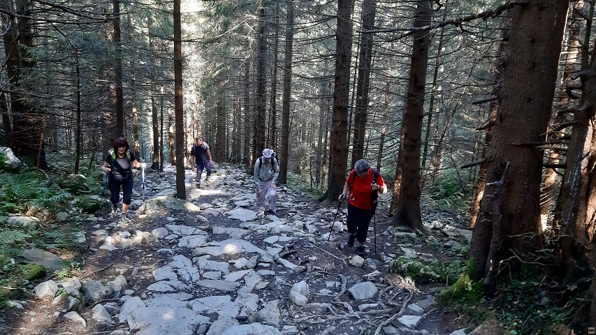 img00012.jpg