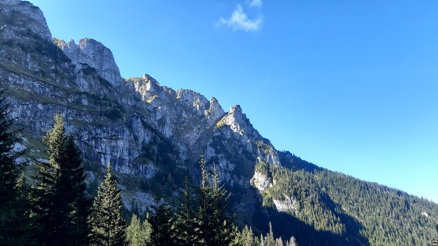 img00015.jpg