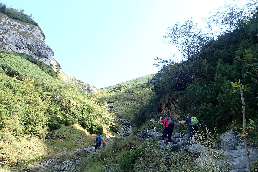img00017.jpg
